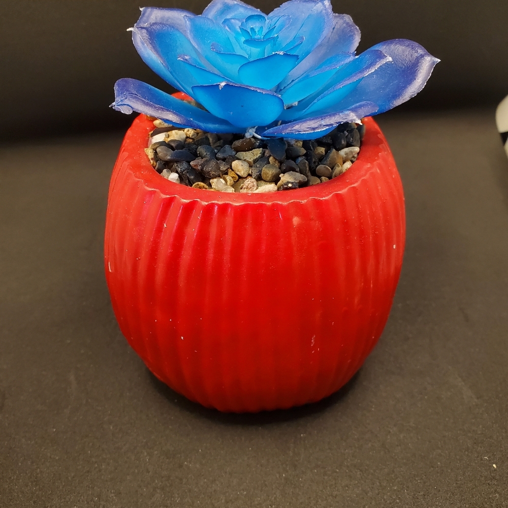 Nightmare before Christmas succulent decor - Picture 4 of 7